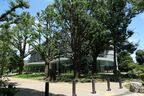 公園内にある区立中央図書館
