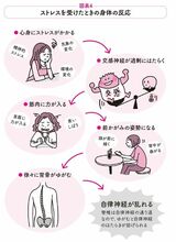 ストレスを受けたときの身体の反応