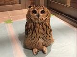 （写真提供：ゲンさん）