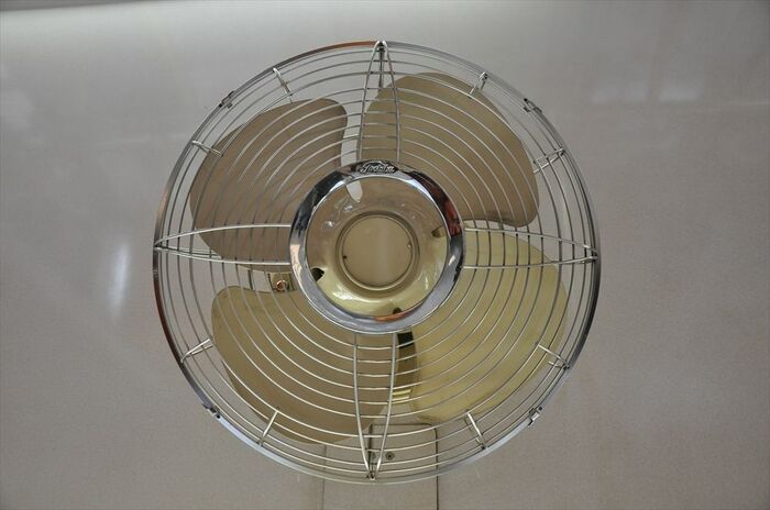 天井の扇風機