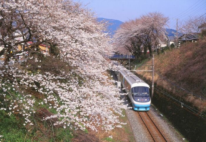 桜咲く御殿場線山北駅付近を走るRSE