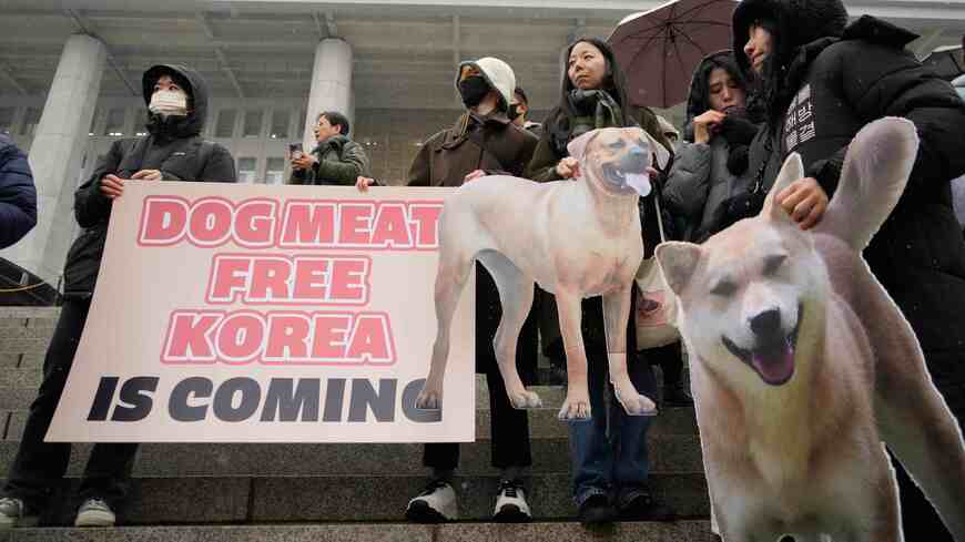 犬食禁止特別法