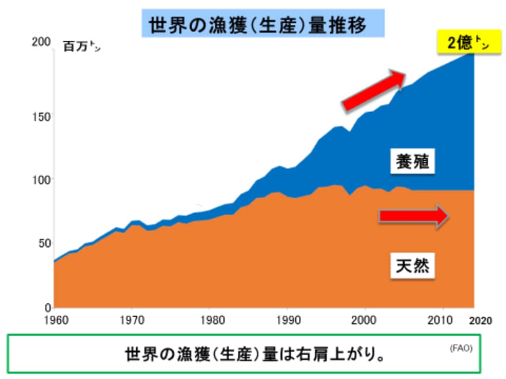 魚が獲れない は世界で日本だけという衝撃事実 読売新聞オンライン
