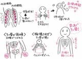 （出所：『自然やせ力 運動オタクが運動やめたらー10kg! やせ細胞を120%呼び覚ます養生』より）