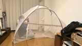 フクモモは小さいので、ワンルームでも見失うことも。蚊帳を張ってその中で遊べば、遠くに行かないうえに、一対一の関係を築きやすい（写真提供：ひろさん）