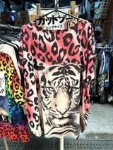 ニヒルなトラの表情がカッコいい一枚（筆者撮影）