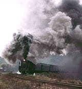 盛大に煙を吐きながら快走するD51牽引の客車列車山陰本線特牛―滝部間（撮影：南正時）