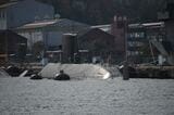 停泊中の潜水艦を間近に目撃（記者撮影）