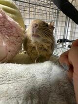 （写真：みきさん）