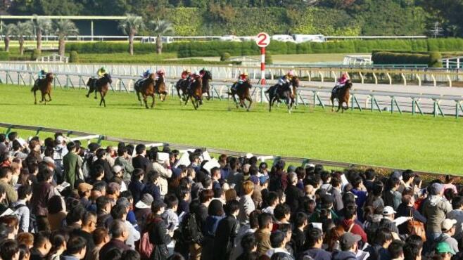 経営者も引き付ける｢競馬の魔力｣に迫る