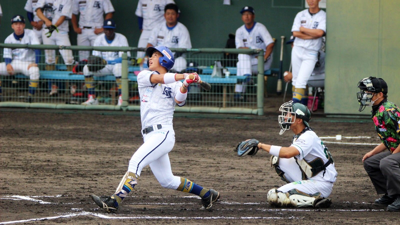 出遅れ野球リーグ が見据える11年越しの悲願 日本野球の今そこにある危機 東洋経済オンライン 社会をよくする経済ニュース