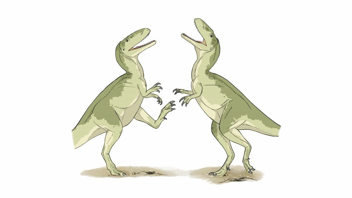 獣脚類
