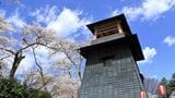 真田昌幸 沼田城 どうする家康