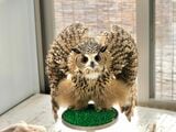 （写真提供：ゲンさん）