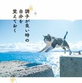 （出所：『そんなに怒らニャくてもいいんだよ ネコと学ぶ心が軽くなる方法』より）