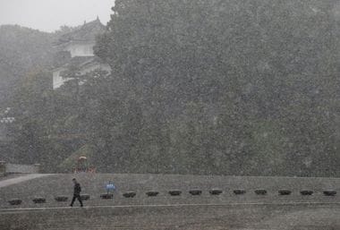 Tokyo Hit by First November Snow in 54 years 