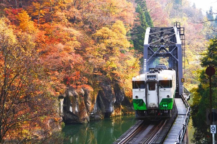 紅葉の第四只見川橋梁を渡るキハ40系