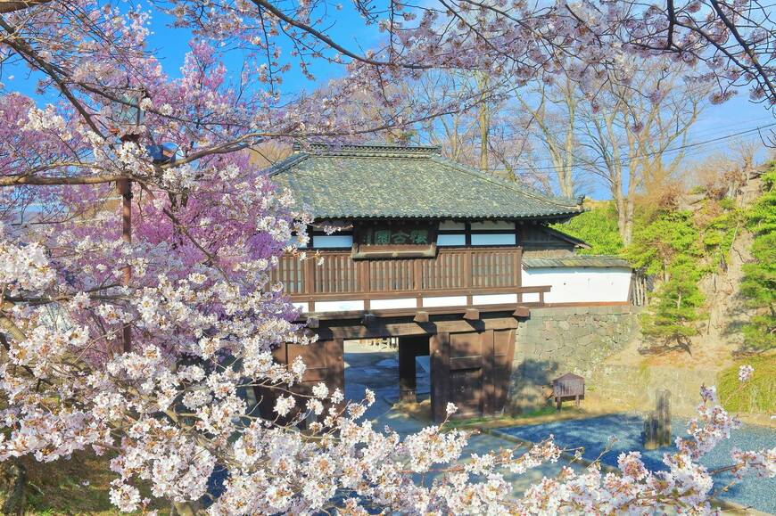 桜のロケ地