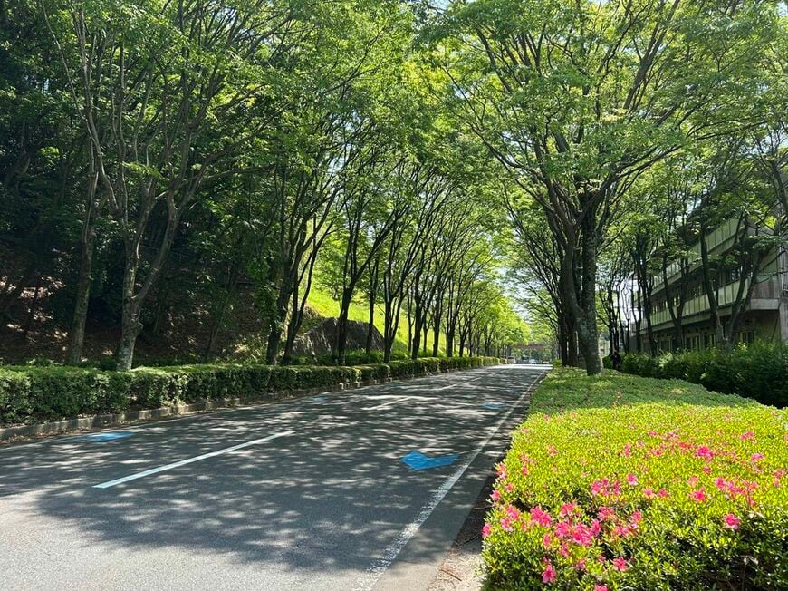 森の里の中央を南北に走る幹線道路（写真：筆者撮影）