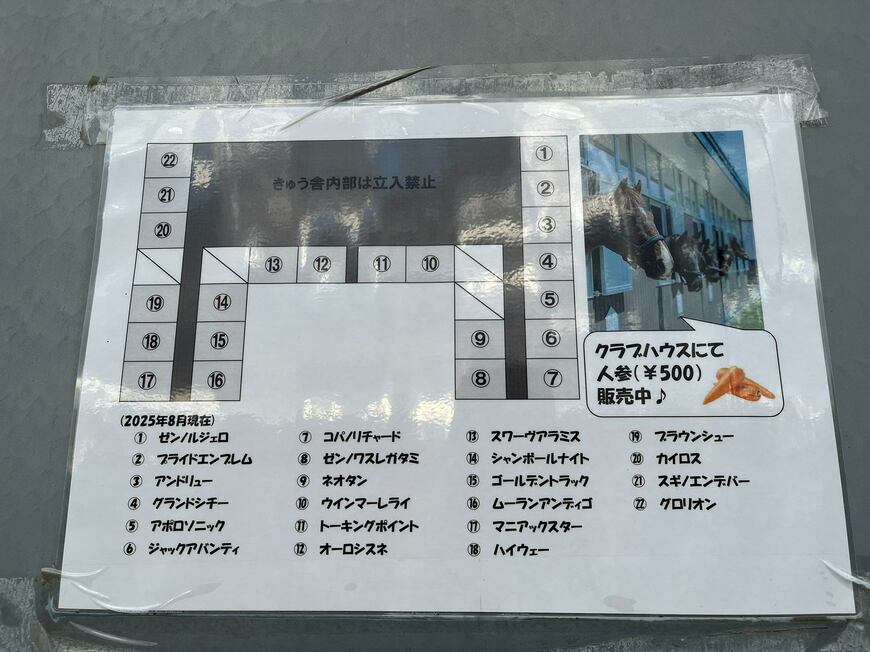 にいかっぷホロシリ乗馬クラブ