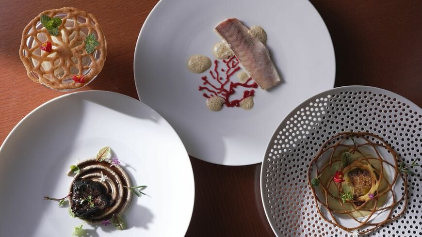 見た目は普通のフレンチ料理だが、食感にこだわった介護食だという（写真：オルタスジャパン提供）