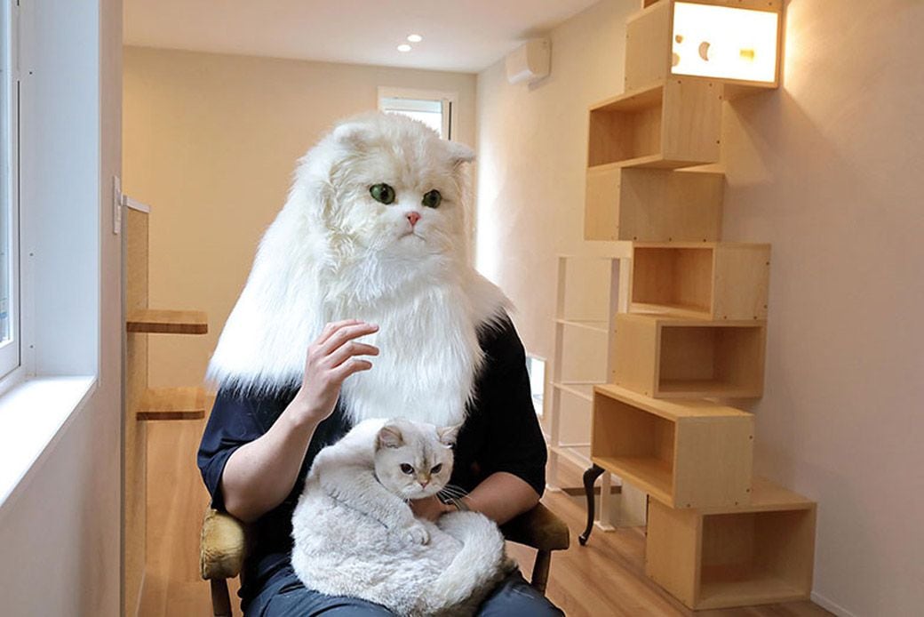 保護猫について語る池田さん