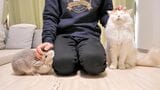 （写真提供：やすさん）