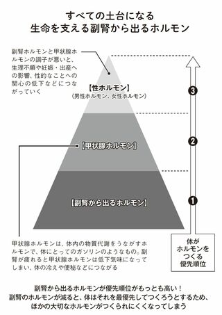 人の生命活動に欠かすことのできない「ホルモン」…専門医が解説する、意外な