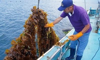 Rebuilding Lives through Start-ups