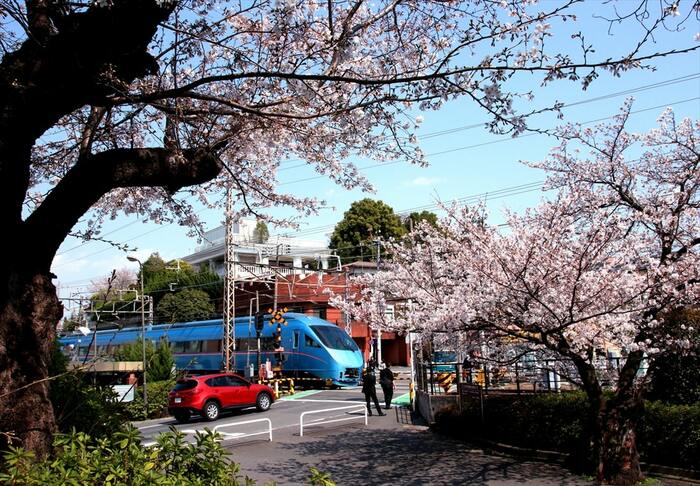 桜咲く玉川学園前付近を走るMSE