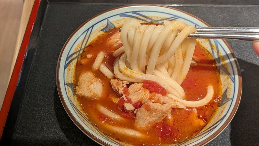 「番茄雞肉烏龍麵」の麺