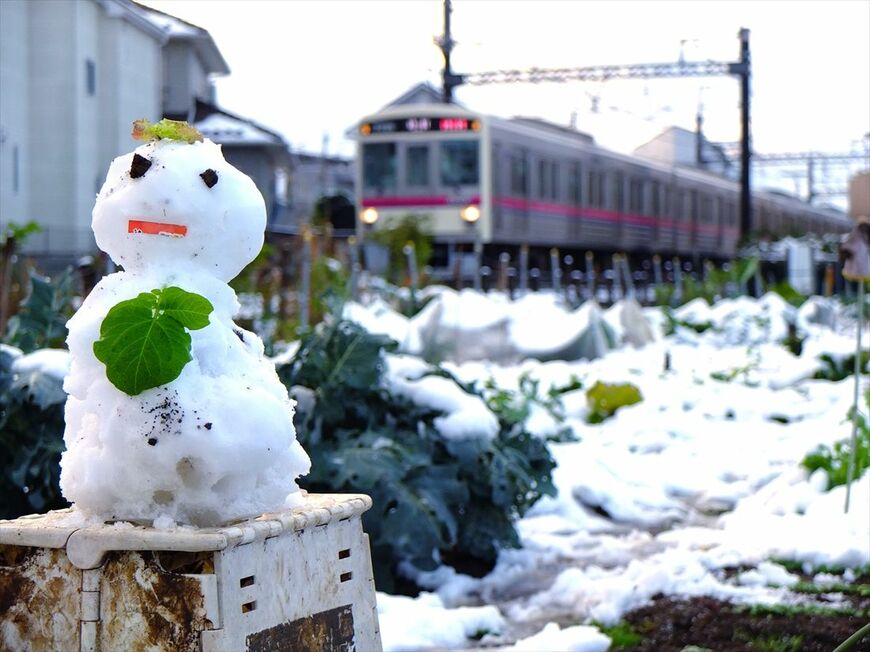 多摩地区は都心より積雪が多い。雪だるまと7000系＝2016年（撮影：南正時）