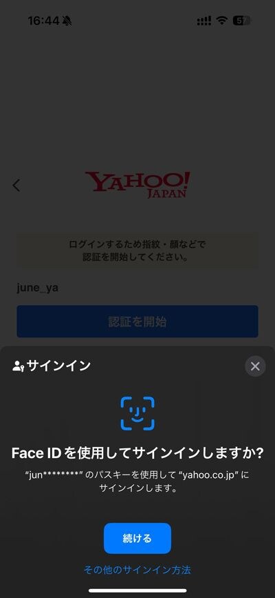 iPhone