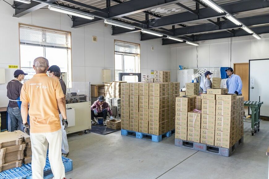 玉名農場の出荷風景。収穫時期には連日農場から直営店やJAにJR九州ファーム産のミニトマトが送られてゆく（筆者撮影）
