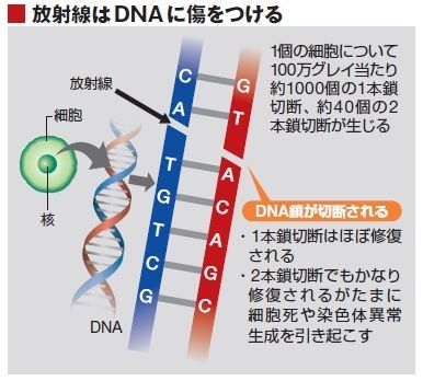 東洋経済オンライン