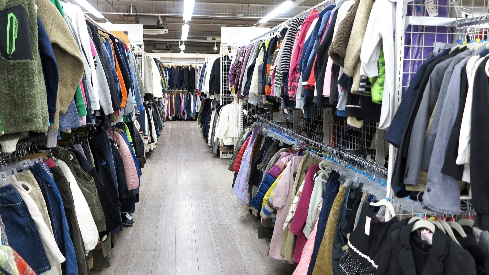 藤川さん注目の