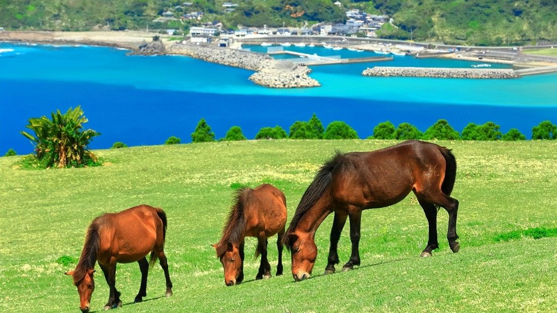 ｢新最低賃金に満たない求人割合｣が多かった市区町村はどこだったのでしょうか（写真：kazukiatuko／PIXTA）