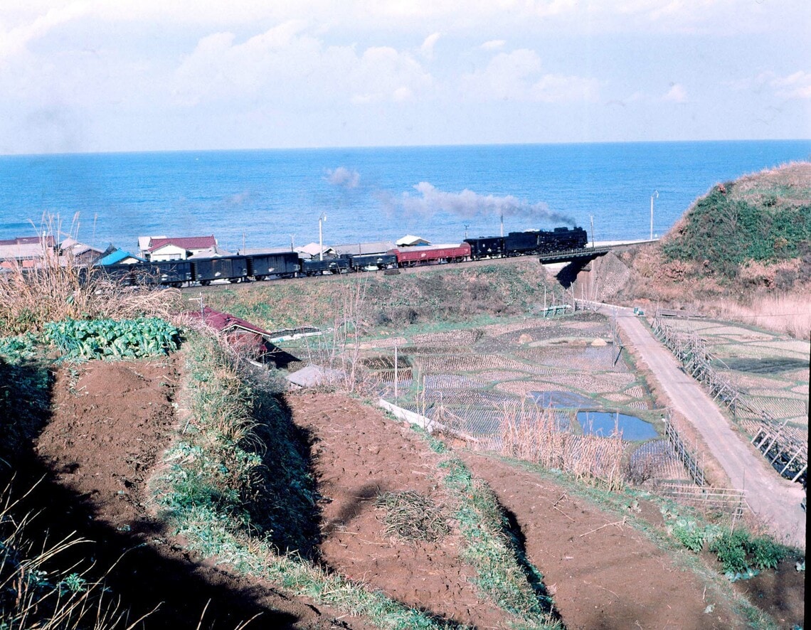日本海沿いの羽越線桑川付近を走る貨物列車（撮影：南正時）