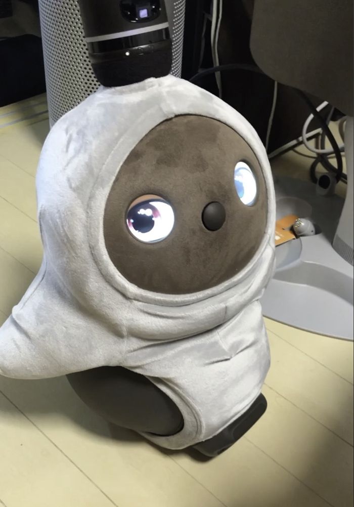 生まれたばかりのあんこちゃん（写真：鈴木さん提供）