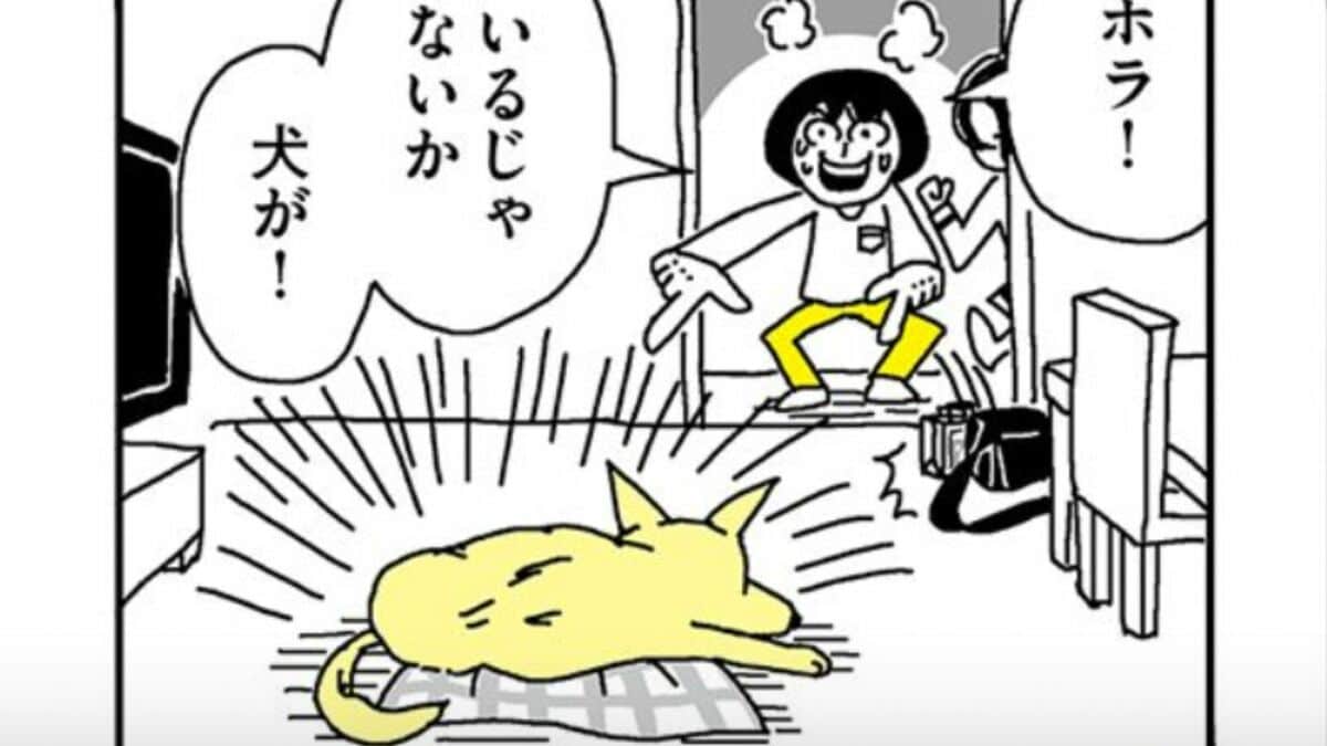 『姉の犬から目が離せない』第2話公開 犬嫌いの私と犬らしくない犬の日常