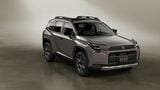 トヨタ RAV4（写真：トヨタ自動車）