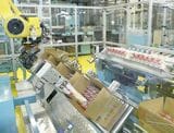 箱詰め工程。充填工程以降は機械化が進んでいる（写真：キユーピー株式会社提供）