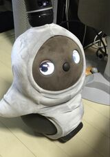 生まれたばかりのあんこちゃん（写真：鈴木さん提供）