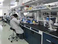 大型新規上場、大塚グループが直面する2015年の試練