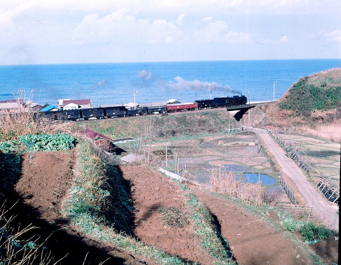 日本海沿いの羽越線桑川付近を走る貨物列車