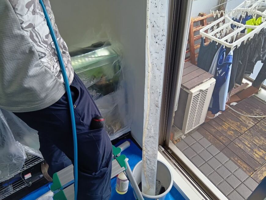 カビの粒子