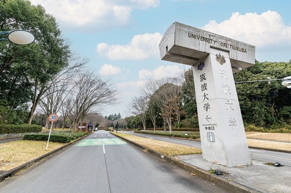 筑波 浪人 濱井