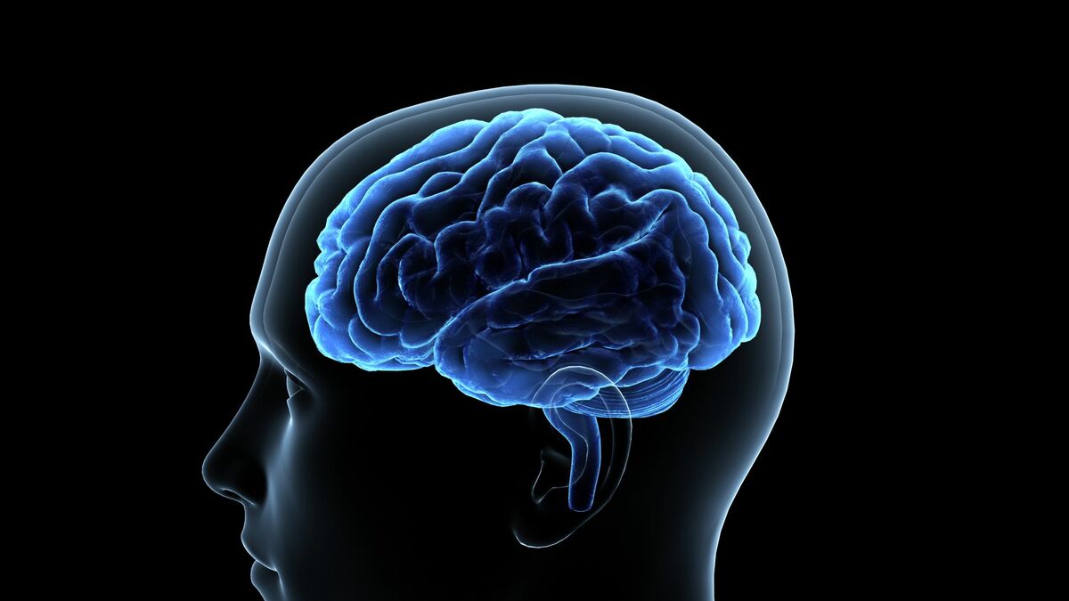 ｢1日4時間以上で脳が萎縮｣スマホ認知症の恐怖 | 子育て | 東洋経済オンライン