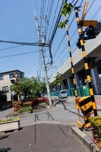 踏切はもちろんただのオブジェ。手前で一時停止の