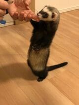 （写真提供：ミキさん）